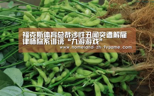 九游游戏