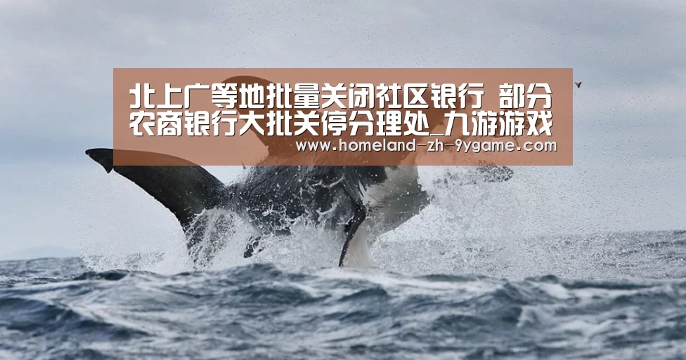 九游官网